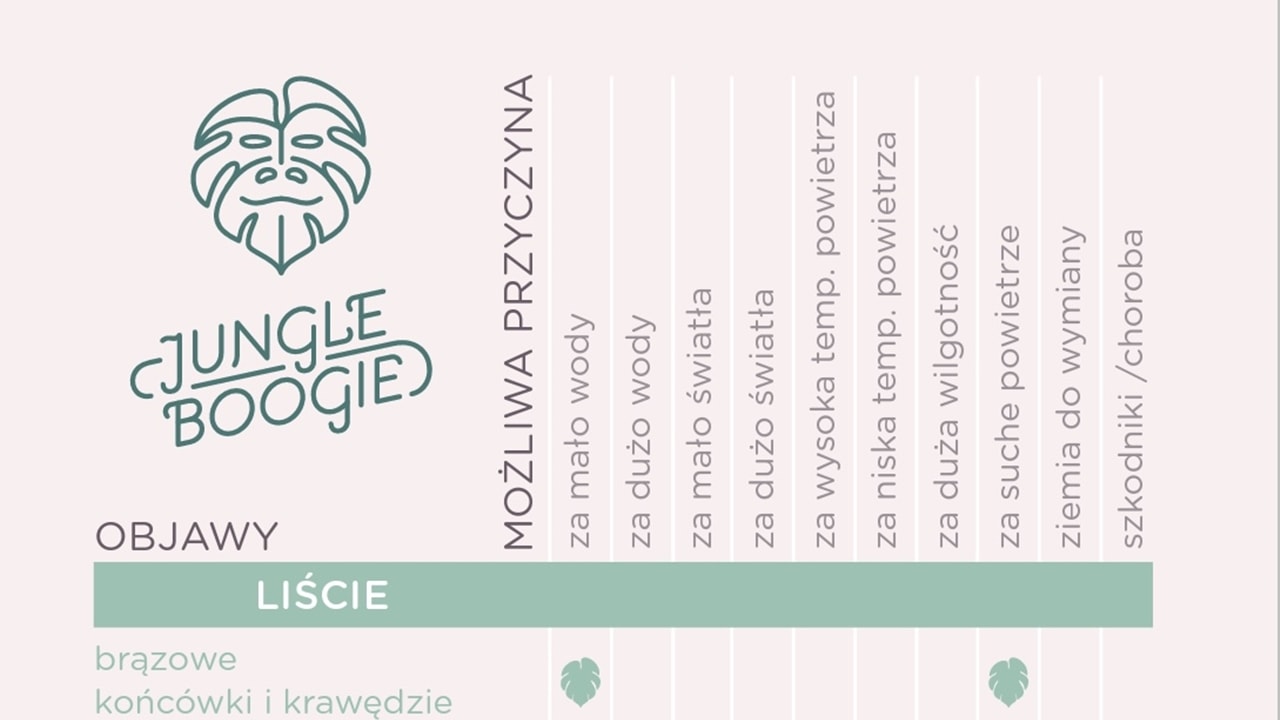 Infografika rośliny doniczkowe
