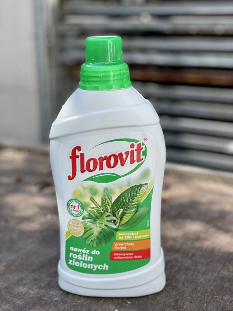 Zdjęcie akcesoria Nawóz do zielonych Florovit 1kg, ujęcie 1