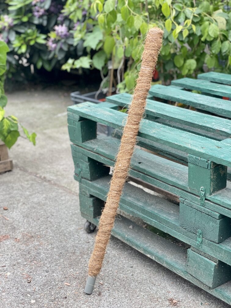 Zdjęcie akcesoria Palik kokosowy 80cm, ujęcie 1